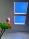 1X1ft LED Artificial Skylight Smart Home Wifi Control Ceiling Lamp Indoors - 30W - Tunable CCT - Dimmable - 1800~10000K