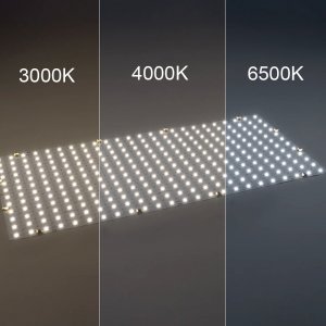 Arc - LED Light Sheet - 12x24, Static White
