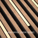 DarkMatters Slat Wall Neon Neutral White (2800K-3200K) 2.4 MTR Roll 24V 24W - IP67 Waterproof - Black Silicone Neon Flex Side Bend DM2015