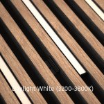 DarkMatters Slat Wall Neon Daylight White (3200K - 3800K) 2.4 MTR Roll 24V 24W - IP67 Waterproof - Black Silicone Neon Flex Side Bend DM1509