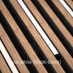 DarkMatters Slat Wall Neon Cool White (4700K-5500K) 2.4 MTR Roll 24V 24W - IP67 Waterproof - Black Silicone Neon Flex Side Bend DM1509