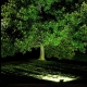 High Power 30W LED Flood Light Fixture - 5500K