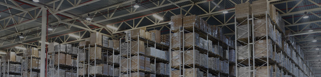 White/Single Color LED Strips