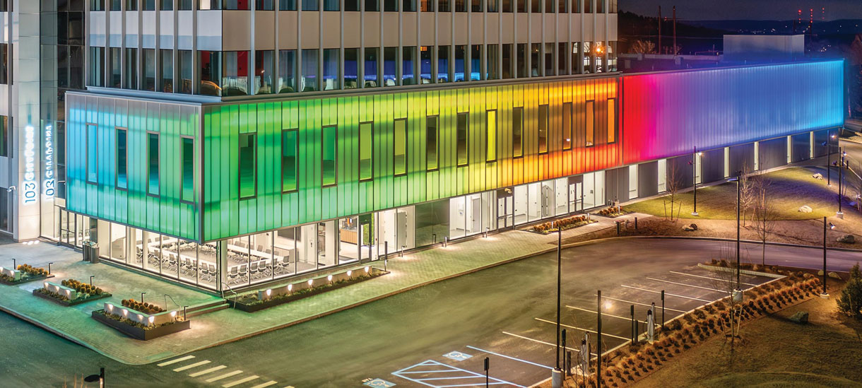 White/Single Color LED Strips